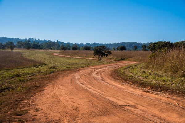 Dirt Driveway Repair in Kingsport