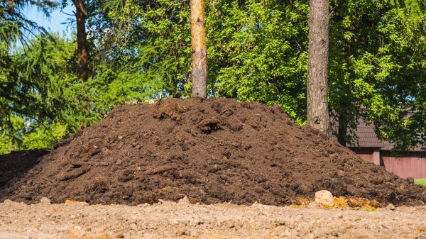 Dirt Installation in Kingsport