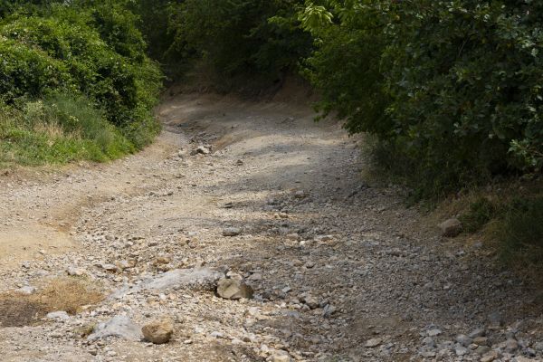 Gravel Road Pothole Repair in Kingsport