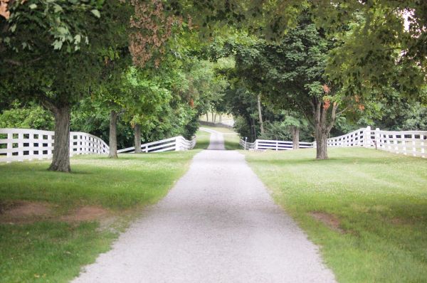 Gravel Driveway Construction in Kingsport