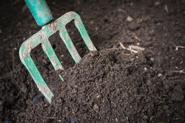 Topsoil Spreading in Kingsport