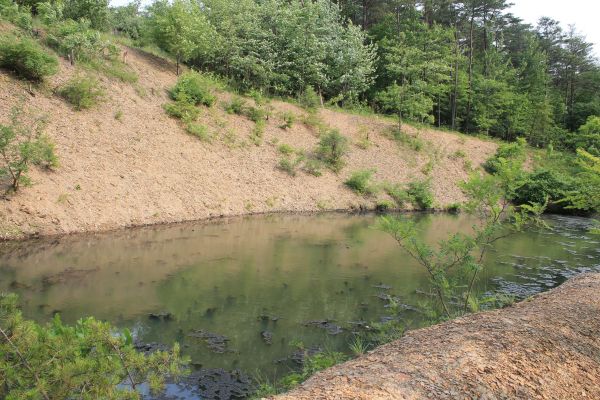 Pond Erosion Repair in Kingsport